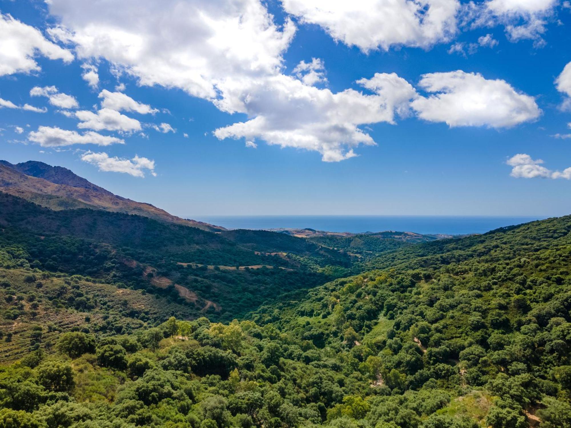 Luxury With Pool And Breathtaking Views Villa Casares